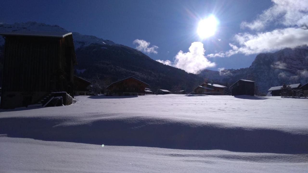 La Ferme Du Fay Apartment Sixt-Fer-a-Cheval Luaran gambar